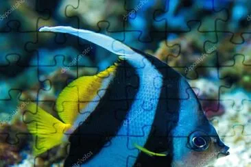 Foto jigsaw puzzle