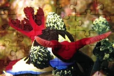Foto jigsaw puzzle