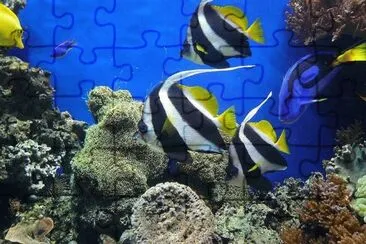 Foto jigsaw puzzle
