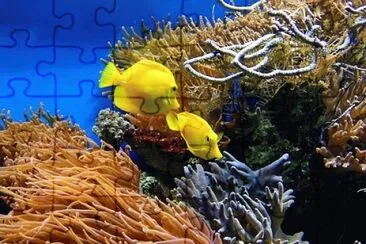 Foto jigsaw puzzle
