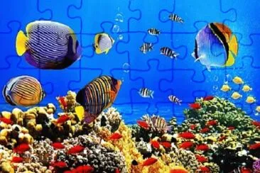 Foto jigsaw puzzle