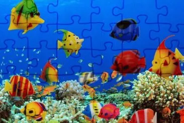 Foto jigsaw puzzle