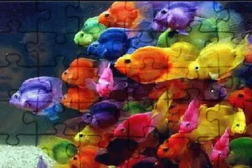 Foto jigsaw puzzle