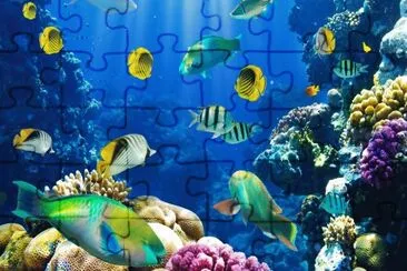 Foto jigsaw puzzle