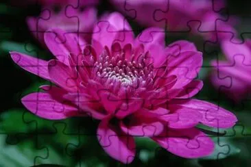 OK jigsaw puzzle