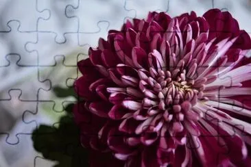 OK jigsaw puzzle