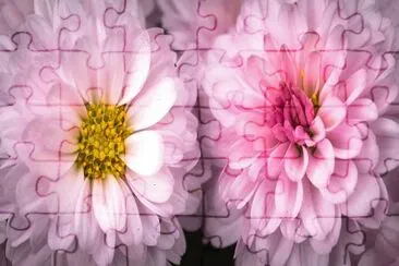 OK jigsaw puzzle