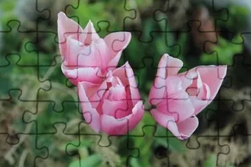 OK jigsaw puzzle