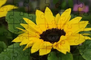 OK jigsaw puzzle