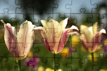 OK jigsaw puzzle
