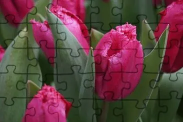 OK jigsaw puzzle