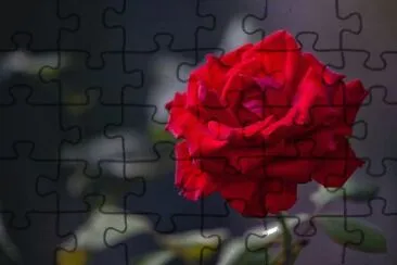 OK jigsaw puzzle