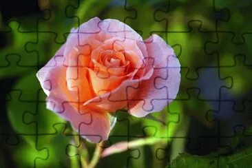 OK jigsaw puzzle