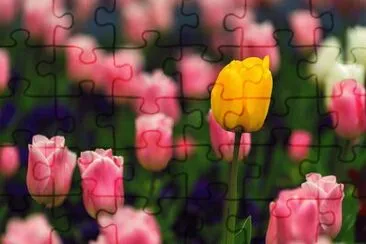 OK jigsaw puzzle