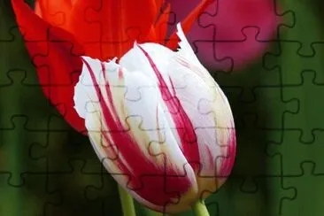 OK jigsaw puzzle