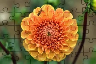 OK jigsaw puzzle