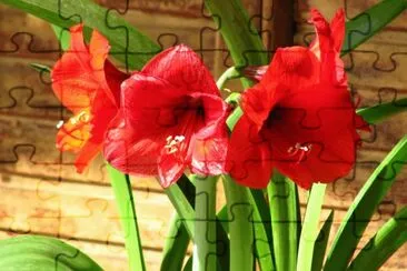 OK jigsaw puzzle