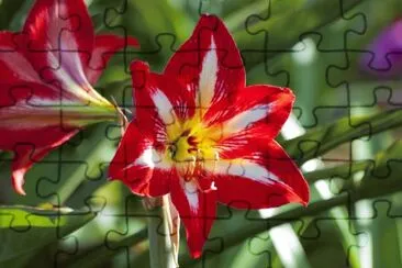 OK jigsaw puzzle