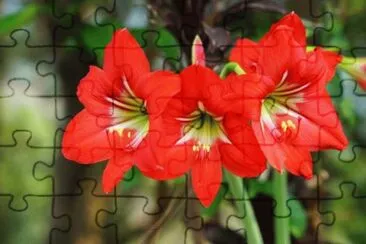 OK jigsaw puzzle
