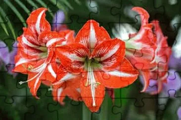 OK jigsaw puzzle