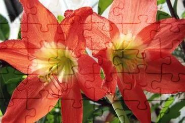 OK jigsaw puzzle