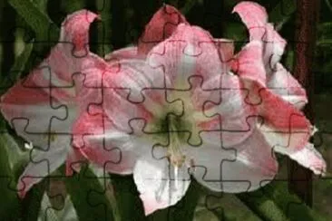 OK jigsaw puzzle