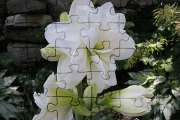 OK jigsaw puzzle
