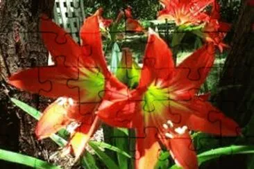OK jigsaw puzzle