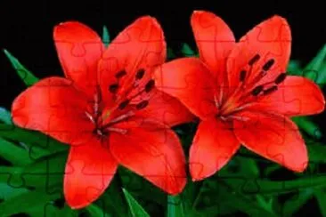 OK jigsaw puzzle