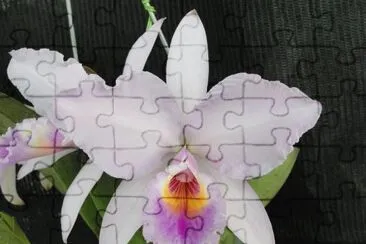 OK jigsaw puzzle
