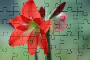 OK jigsaw puzzle