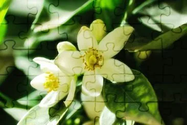 OK jigsaw puzzle
