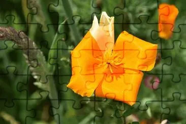 OK jigsaw puzzle