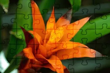 OK jigsaw puzzle