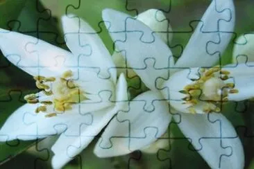 OK jigsaw puzzle