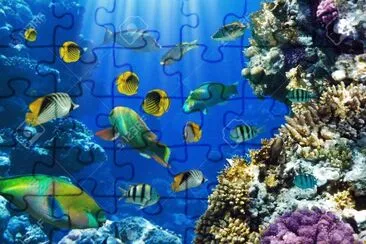Foto jigsaw puzzle