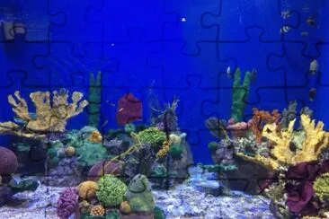 Foto jigsaw puzzle