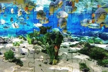 Foto jigsaw puzzle