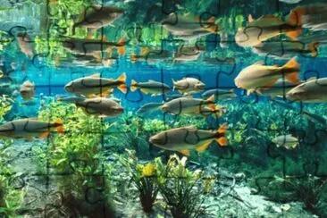 Foto jigsaw puzzle