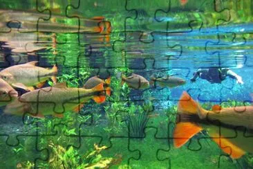 Foto jigsaw puzzle