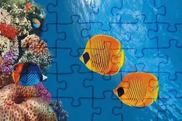 Foto jigsaw puzzle