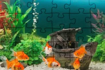 Foto jigsaw puzzle