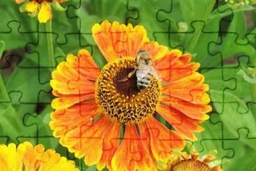 OK jigsaw puzzle