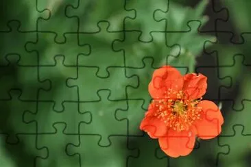 OK jigsaw puzzle
