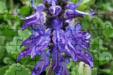 OK jigsaw puzzle