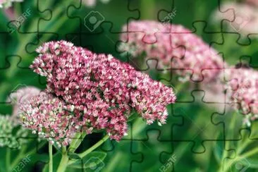 OK jigsaw puzzle