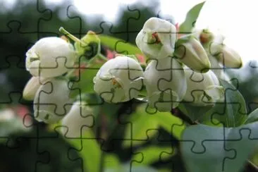 OK jigsaw puzzle