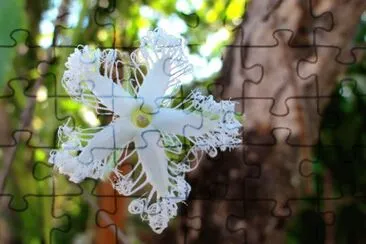 OK jigsaw puzzle