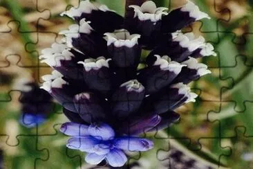 OK jigsaw puzzle