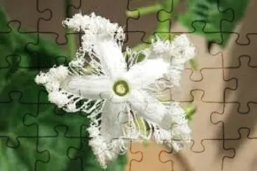 OK jigsaw puzzle